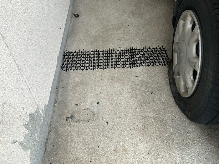 車の横に設置