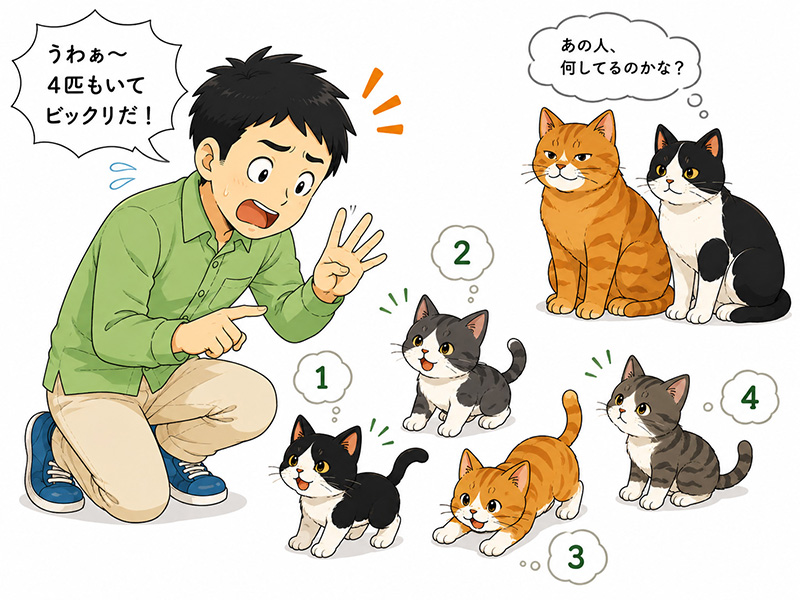 子猫4匹